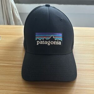 Patagonia Classic Adjustable Hat
